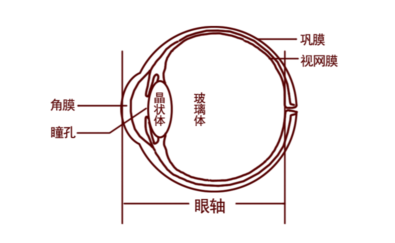 1684641221166843.png 眼轴.png